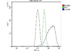 Flow Cytometry analysis of THP-1 cells using anti-Caspase-5/CASP5 antibody (ABIN7599992).