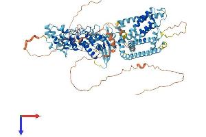 AlphaFold protein structure predicition of Mouse Recombinant Trpv4 Protein, UniprotID Q9EPK8