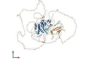 AlphaFold protein structure predicition of Human Recombinant KMT5B Protein, UniprotID Q4FZB7