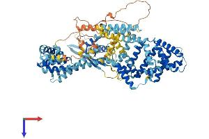 AlphaFold protein structure predicition of Human Recombinant SNX25 Protein, UniprotID Q9H3E2