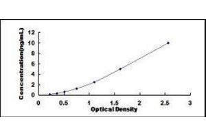 ELISA image for Growth Associated Protein 43 (GAP43) ELISA Kit (ABIN424754)