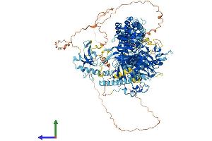 AlphaFold protein structure predicition of Mouse Recombinant Msh6 Protein, UniprotID P54276