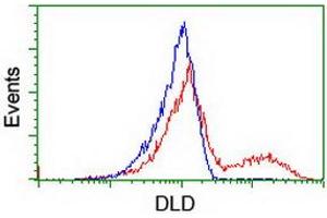 Flow Cytometry (FACS) image for anti-Dihydrolipoamide Dehydrogenase (DLD) antibody (ABIN1497848) (DLD anticorps)