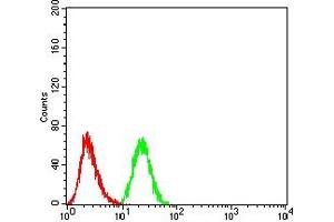 Flow cytometric analysis of A549 cells using PRDM14 mouse mAb (green) and negative control (red).