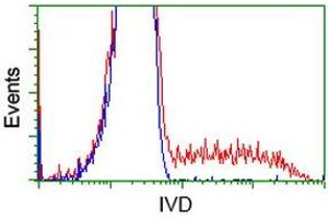 HEK293T cells transfected with either RC201077 overexpress plasmid (Red) or empty vector control plasmid (Blue) were immunostained by anti-IVD antibody (ABIN2453186), and then analyzed by flow cytometry. (IVD anticorps)