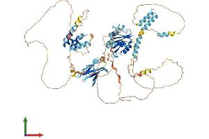 AlphaFold protein structure predicition of Human Recombinant BANK1 Protein, UniprotID Q8NDB2