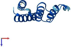 AlphaFold protein structure predicition of Human Recombinant ACBD7 Protein, UniprotID Q8N6N7