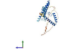 AlphaFold protein structure predicition of Mouse Recombinant Med8 Protein, UniprotID Q9D7W5