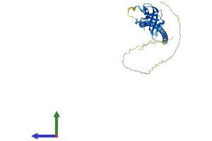 AlphaFold protein structure predicition of Mouse Recombinant Cd72 Protein, UniprotID P21855