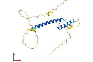 AlphaFold protein structure predicition of Mouse Recombinant Tcf21 Protein, UniprotID O35437
