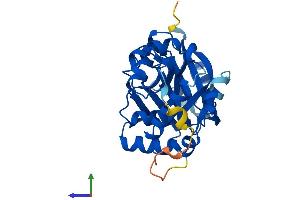 AlphaFold protein structure predicition of Human Recombinant GLYATL1 Protein, UniprotID Q969I3