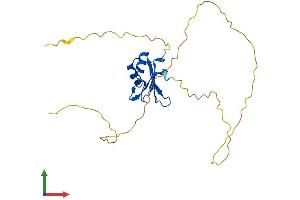 AlphaFold protein structure predicition of Mouse Recombinant Rbm38 Protein, UniprotID Q62176