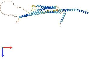 AlphaFold protein structure predicition of Human Recombinant STX18 Protein, UniprotID Q9P2W9