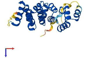 AlphaFold protein structure predicition of Mouse Recombinant Armc7 Protein, UniprotID Q3UJZ3