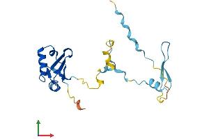 AlphaFold protein structure predicition of Human Recombinant RCAN2 Protein, UniprotID Q14206