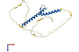 AlphaFold protein structure predicition of Mouse Recombinant Neurog3 Protein, UniprotID P70661