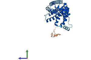 AlphaFold protein structure predicition of Mouse Recombinant Rmdn1 Protein, UniprotID Q9DCV4