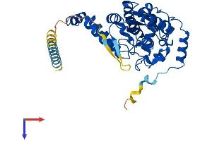 AlphaFold protein structure predicition of Mouse Recombinant Tpst1 Protein, UniprotID O70281