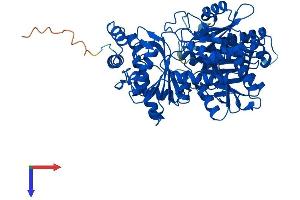 AlphaFold protein structure predicition of Mouse Recombinant Pgm2l1 Protein, UniprotID Q8CAA7