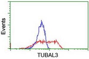 Flow Cytometry (FACS) image for anti-Tubulin, alpha-Like 3 (TUBAL3) (AA 150-446) antibody (ABIN1490957) (TUBAL3 anticorps  (AA 150-446))