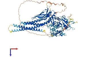 AlphaFold protein structure predicition of Human Recombinant STAT2 Protein, UniprotID P52630
