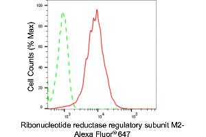 Flow cytometric analysis of ribonucleotide reductase regulatory subunit M2 expression in HepG2 cells using ribonucleotide reductase regulatory subunit M2 antibody (ABIN7800213), 1:2,000). (Recombinant RRM2 anticorps)