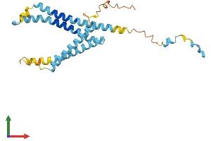 AlphaFold protein structure predicition of Human Recombinant LAPTM4A Protein, UniprotID Q15012