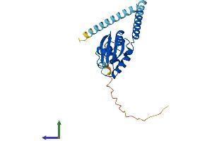 AlphaFold protein structure predicition of Mouse Recombinant Txndc9 Protein, UniprotID Q9CQ79