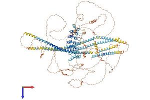 Ankyrin Repeat Domain 30B (ANKRD30B) (AA 1-1392) protein (His tag)
