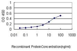 Detection limit for recombinant GST tagged CCT7 is approximately 0. (CCT7 anticorps  (AA 425-528))