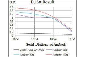 ELISA image for anti-Tubulin, beta 2A (TUBB2A) (AA 25-187) antibody (ABIN1846607) (TUBB2A anticorps  (AA 25-187))
