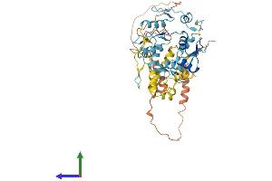 AlphaFold protein structure predicition of Human Recombinant ZNF223 Protein, UniprotID Q9UK11
