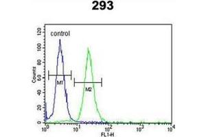 Flow cytometric analysis of 293 cells using LMBR1L Antibody (C-term) Cat. (LMBR1L anticorps  (C-Term))