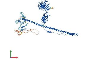AlphaFold protein structure predicition of Human Recombinant TRIM9 Protein, UniprotID Q9C026