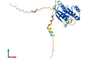AlphaFold protein structure predicition of Human Recombinant RASL11A Protein, UniprotID Q6T310