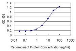 Detection limit for recombinant GST tagged GGPS1 is approximately 0.