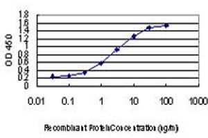 Detection limit for recombinant GST tagged CDKL1 is approximately 0. (CDKL1 anticorps  (AA 259-358))