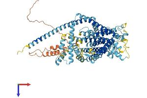 AlphaFold protein structure predicition of Mouse Recombinant Tmc7 Protein, UniprotID Q8C428