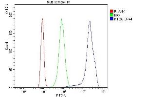 Flow Cytometry analysis of K562 cells using anti-MCAK antibody (ABIN3043278).