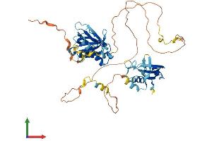 AlphaFold protein structure predicition of Mouse Recombinant Shc3 Protein, UniprotID Q61120