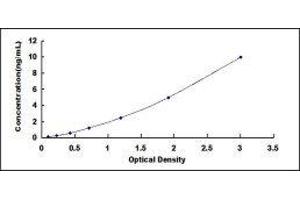 Rac GTPase Activating Protein 1 (RACGAP1) ELISA Kit