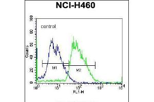 Flow cytometric analysis of NCI-H460 cells (right histogram) compared to a negative control cell (left histogram).