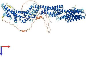 AlphaFold protein structure predicition of Mouse Recombinant Tnfaip2 Protein, UniprotID Q61333