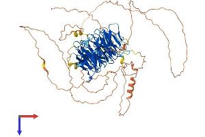 AlphaFold protein structure predicition of Mouse Recombinant Dtl Protein, UniprotID Q3TLR7