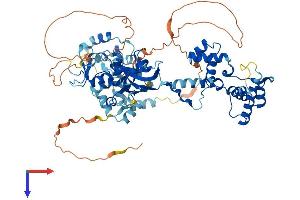 AlphaFold protein structure predicition of Mouse Recombinant Mta2 Protein, UniprotID Q9R190