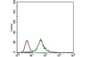 Flow cytometric analysis of HEK293 cells using ZFP42 mouse mAb (green) and negative control (red).