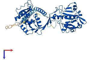 AlphaFold protein structure predicition of Mouse Recombinant Fkrp Protein, UniprotID Q8CG64