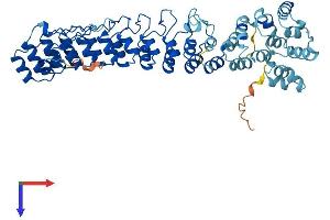 AlphaFold protein structure predicition of Mouse Recombinant Asb3 Protein, UniprotID Q9WV72