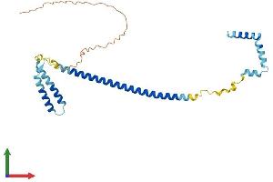 AlphaFold protein structure predicition of Human Recombinant CENPQ Protein, UniprotID Q7L2Z9