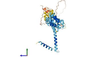 AlphaFold protein structure predicition of Mouse Recombinant Mei4 Protein, UniprotID Q8BRM6